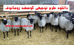 دانلود طرح توجیهی پرورش گوسفند رومانوف 500 راسی چندقلوزا اصلاح نژادی