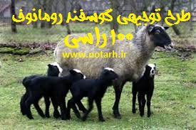 دانلود طرح توجیهی فنی اقتصادی پرورش گوسفند نژاد رومانوف 100 راسی