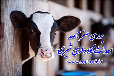 بررسی سود و درامد پرورش گاو شیری