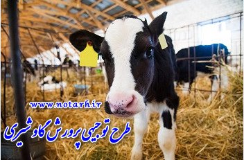دانلود طرح توجیهی پرورش گاو شیری 150راسی